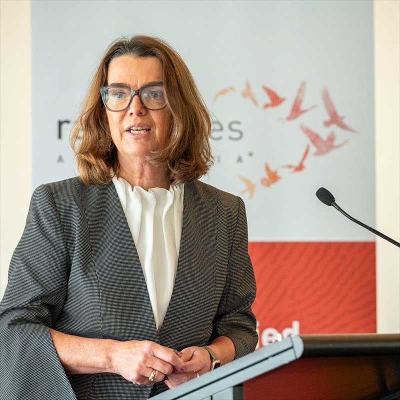 Senator the Hon Anne Ruston, Shadow Minister for Health and Aged Care, speaking
